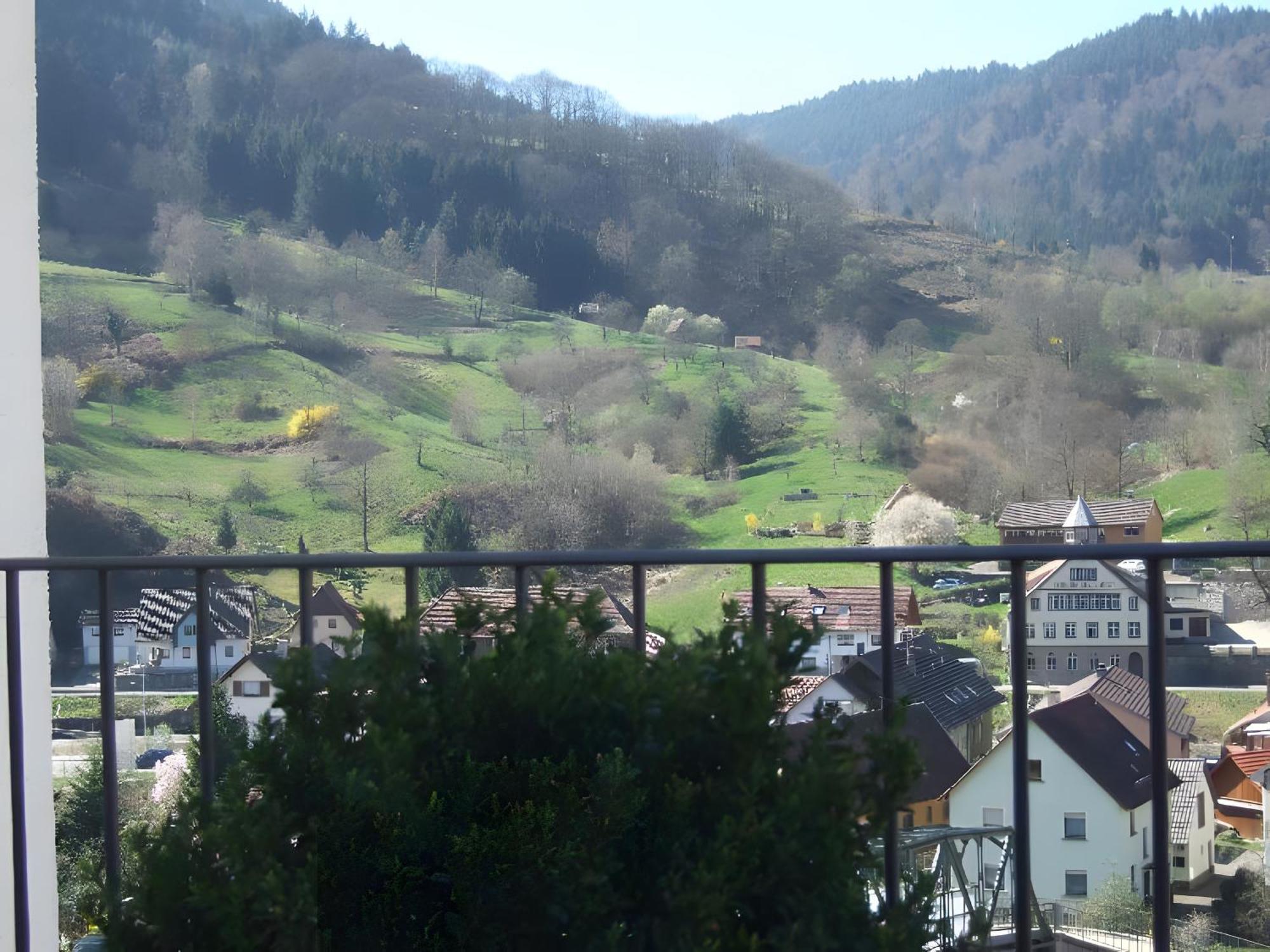 Regina'S Gaestehaus Weisenbach Exterior foto