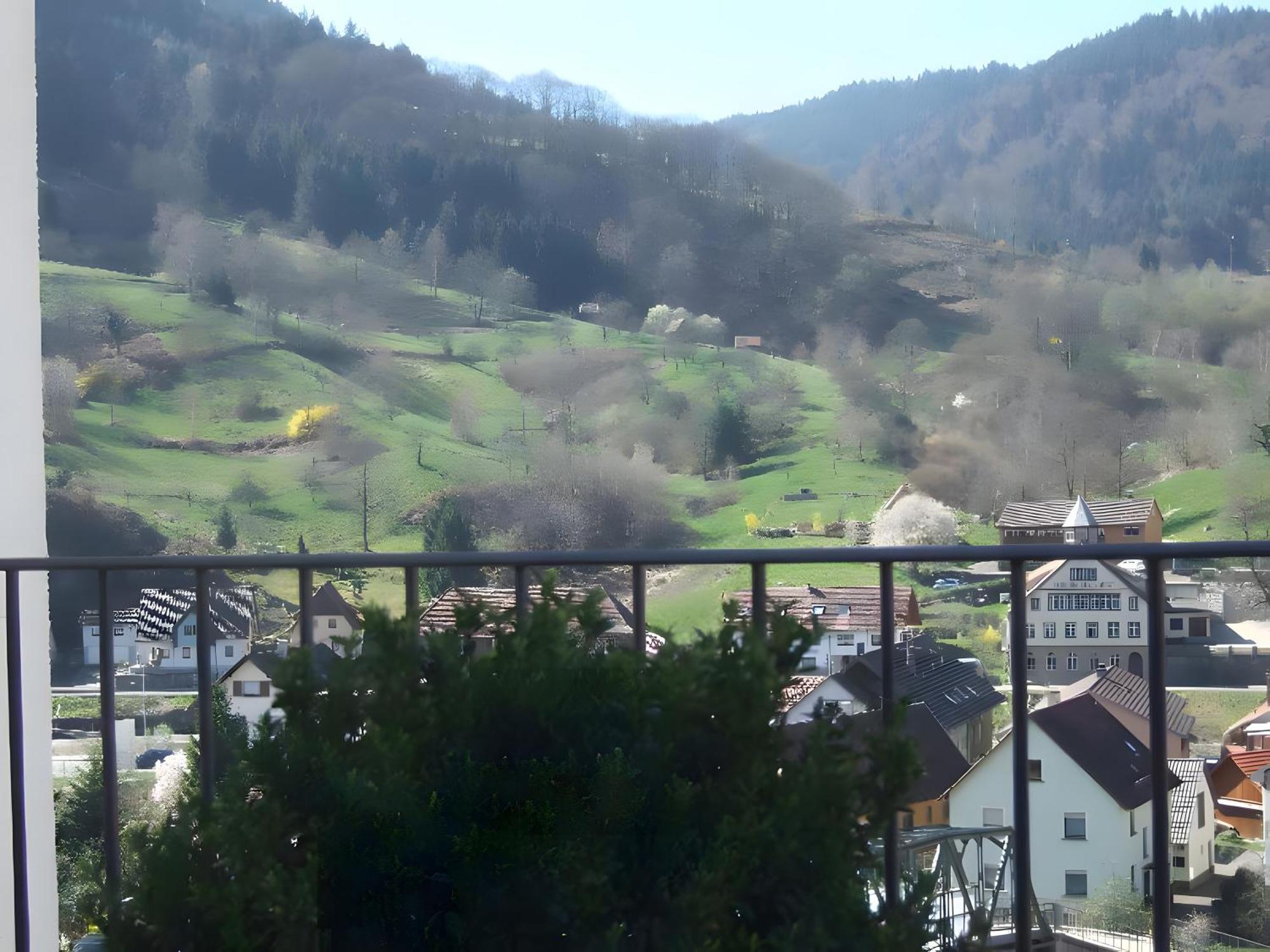 Regina'S Gaestehaus Weisenbach Exterior foto